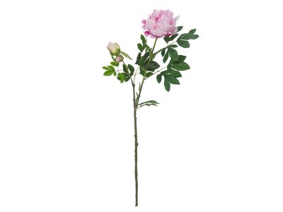 Větvička pivoňky růžová, 100 cm