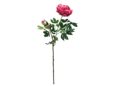 Větvička pivoňky tmavě červená, 100 cm