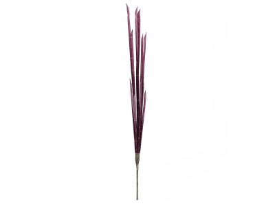 Magické stonky cibule růžové, 134 cm