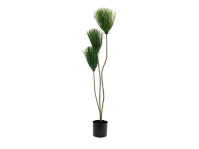 Papyrus palma, 100cm