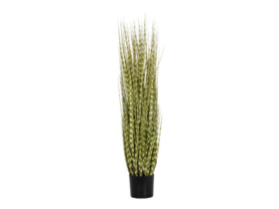 FIRESILX Ozdobnice čínská, 120 cm