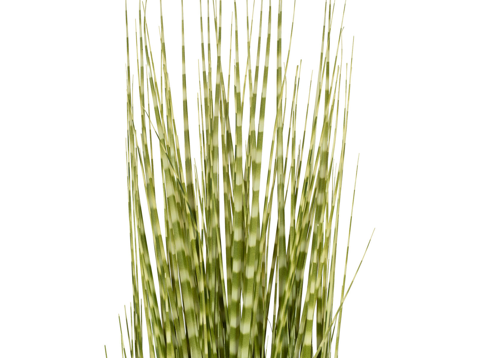 82555800_01