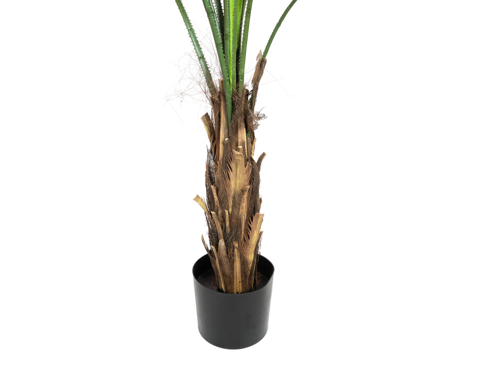 FIRESILX Paprsčitá palma, 140 cm - Obrázek 4