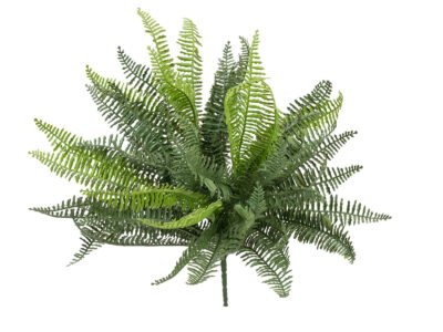 FIRESILX Volánková kapradina trs, 38 cm