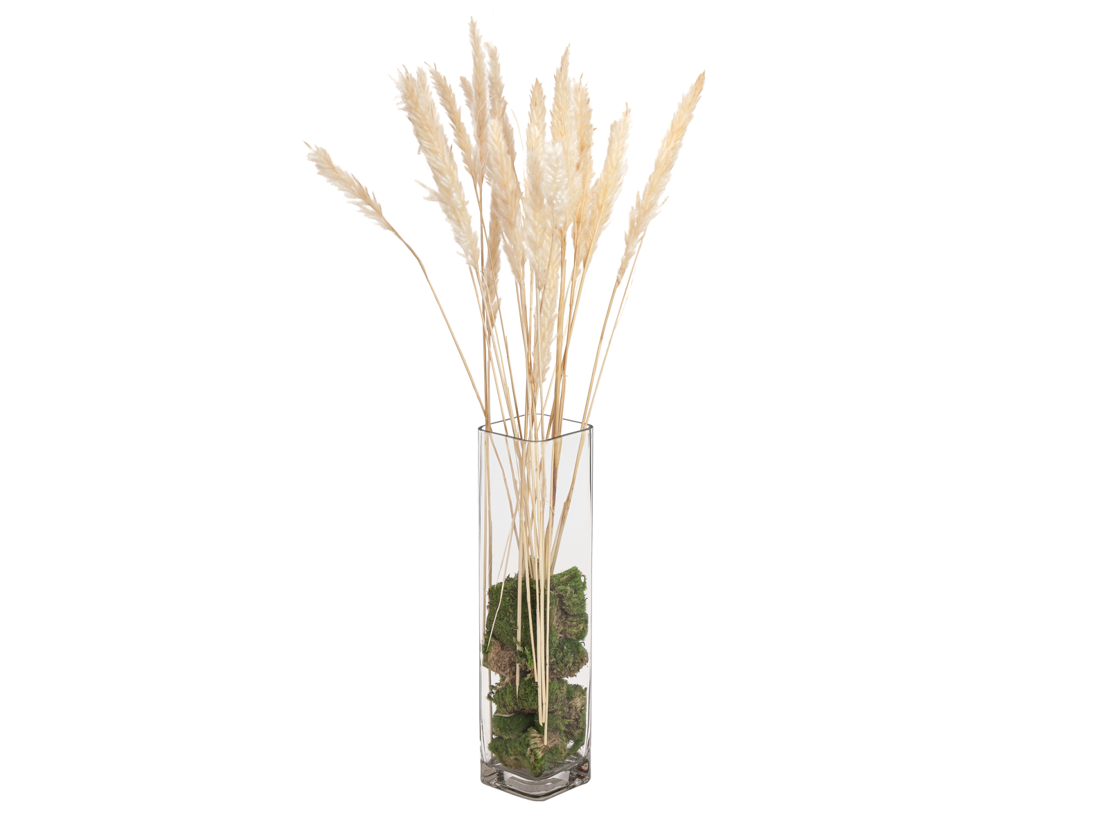 JOLIPA Pampas tráva, svazek stonků, sušené, 75cm - Obrázek 3