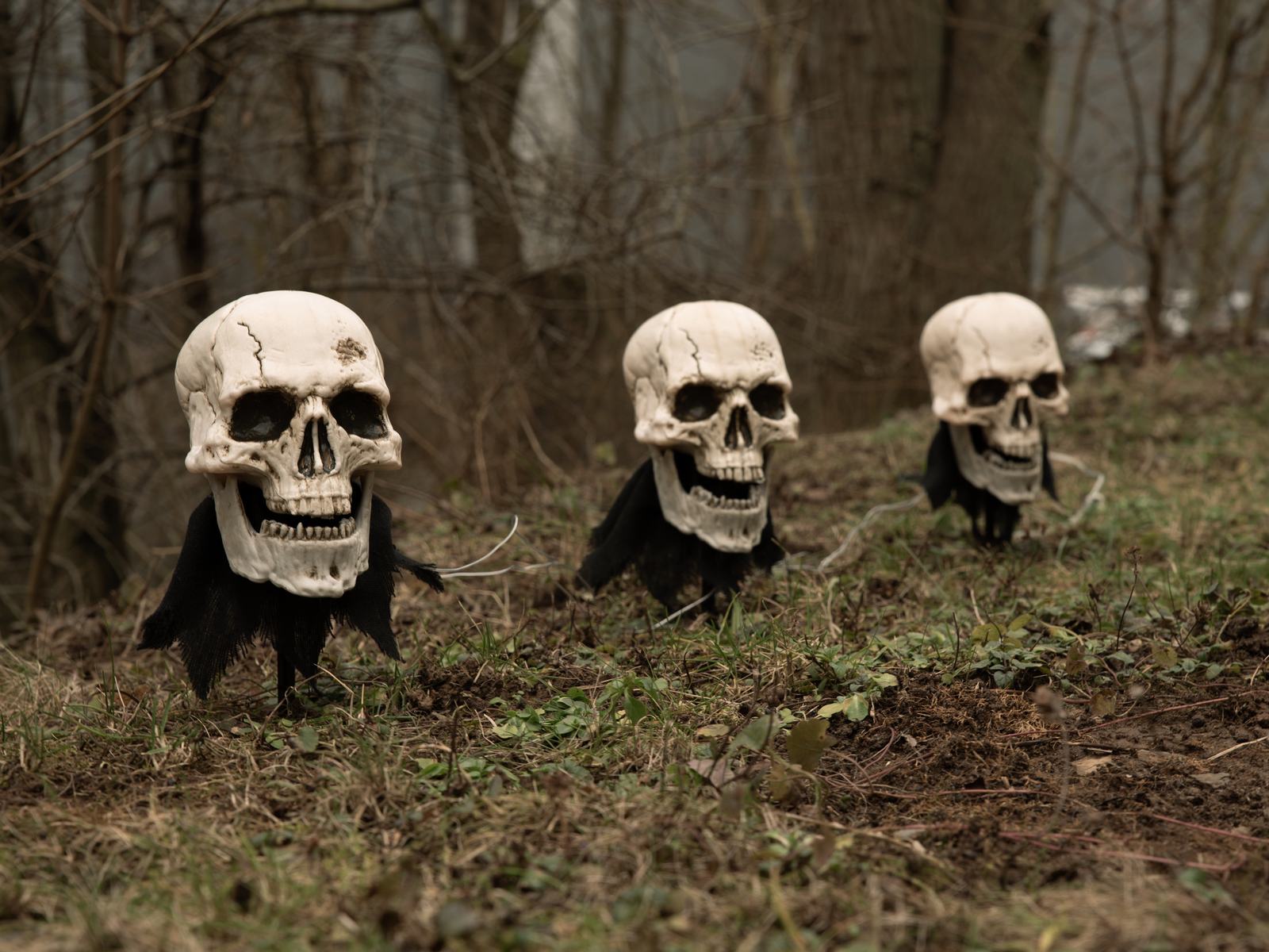 Halloweenské svítící lebky s kolíky, sada 3 ks, 29cm - Obrázek 3