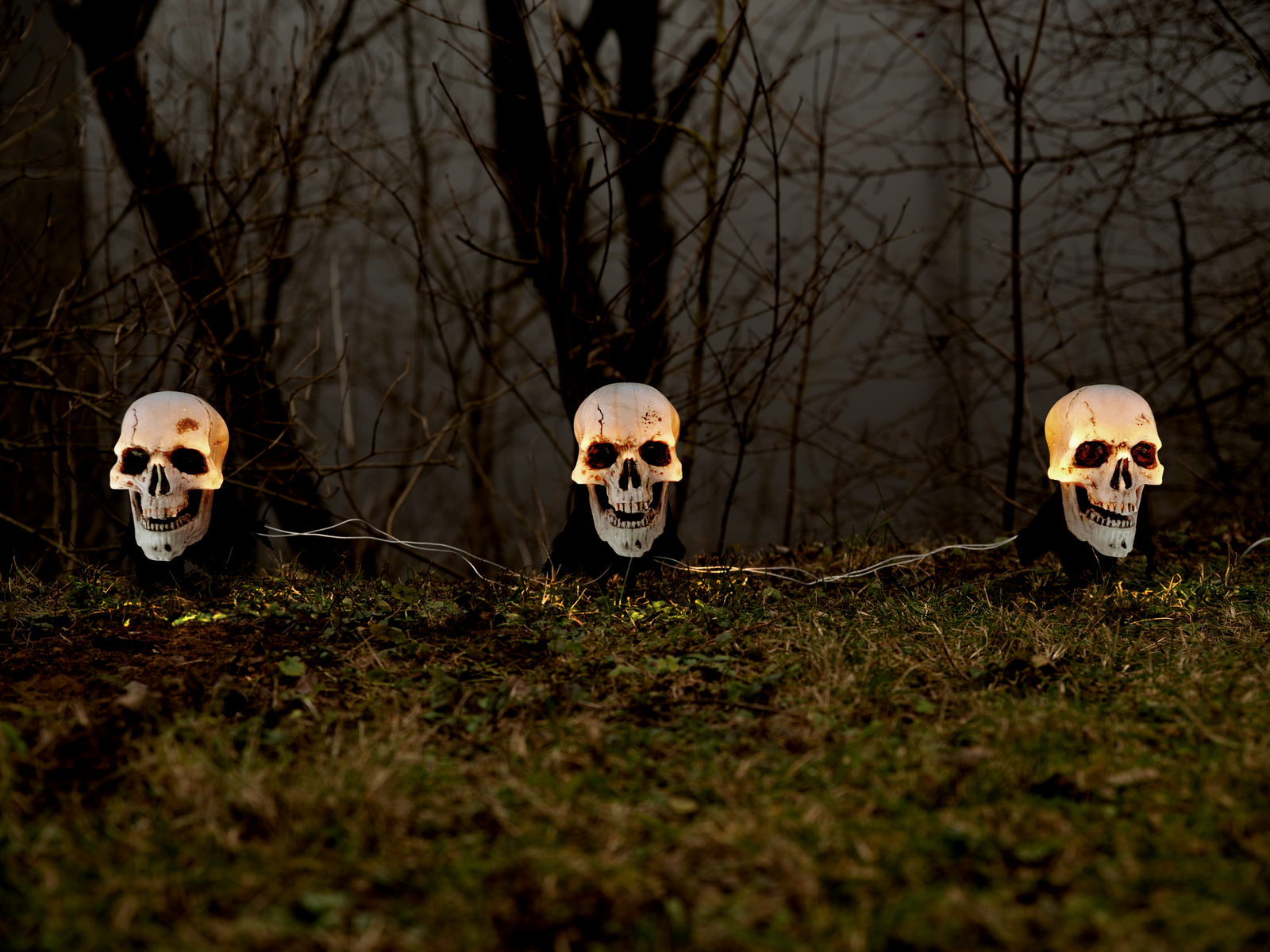 Halloweenské svítící lebky s kolíky, sada 3 ks, 29cm - Obrázek 4