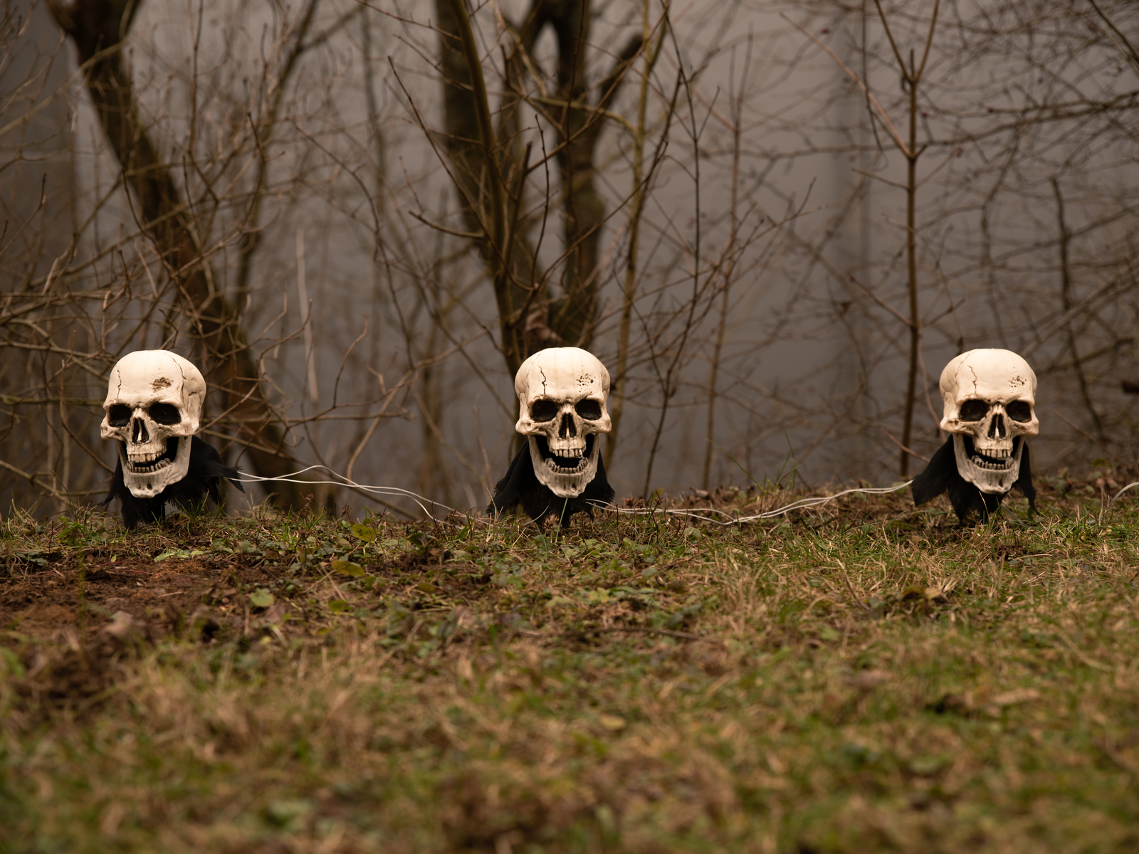 Halloweenské svítící lebky s kolíky, sada 3 ks, 29cm - Obrázek 5