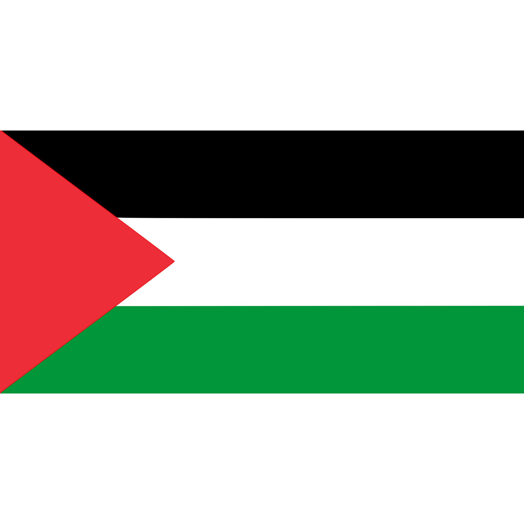 Vlajka Palestina
